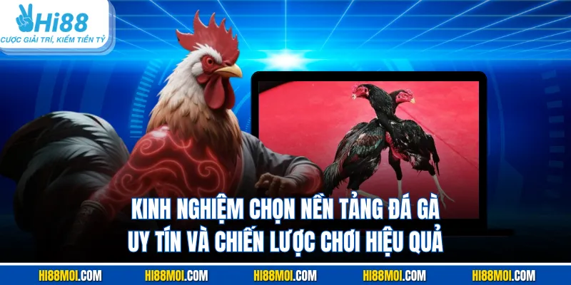 Kinh nghiệm chọn nền tảng đá gà uy tín và chiến lược chơi hiệu quả