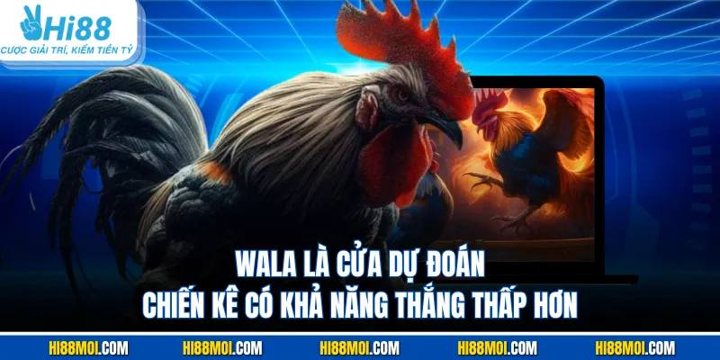Wala là cửa dự đoán chiến kê có khả năng thắng thấp hơn